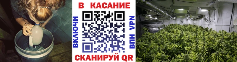 Виды наркоты Ярославль АМФ A PVP МЕФ МАРИХУАНА Гашиш