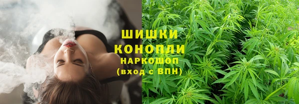 сатива Балахна