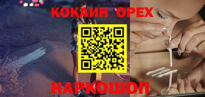 шишки Заводоуковск