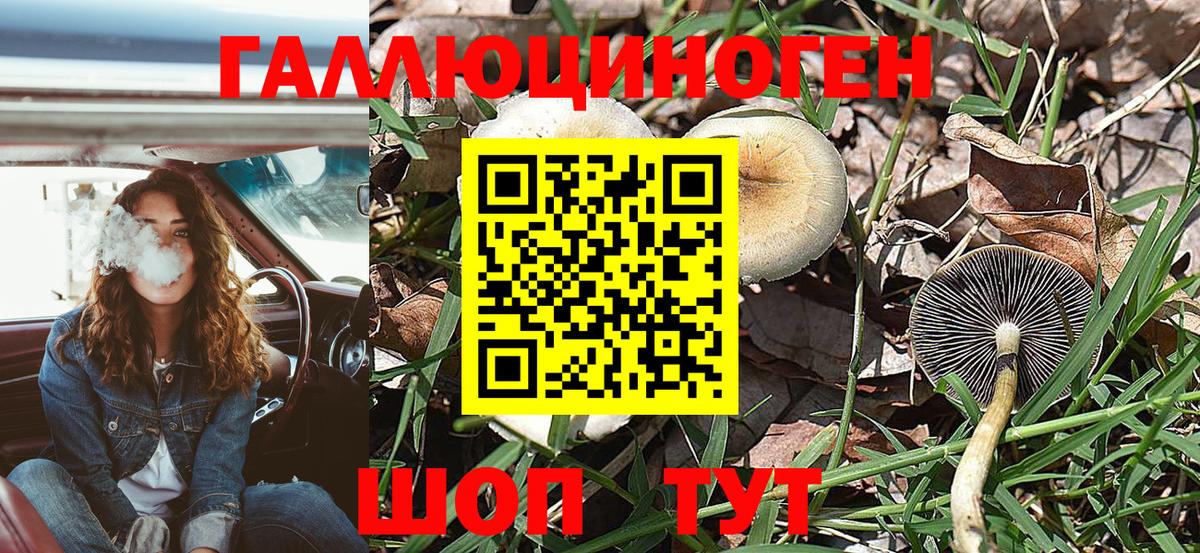 Галлюциногенные грибы мухоморы  Вход с VPN  Ярославль 