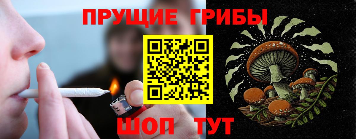 Галлюциногенные грибы Psilocybine cubensis Ярославль