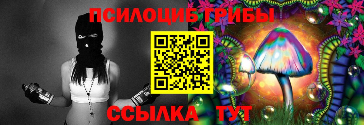 Галлюциногенные грибы MAGIC MUSHROOMS  Ярославль 